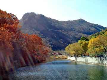 梨園公館停電風波與樣本印刷市場動態(tài)，深度解析價格走勢及最新消息